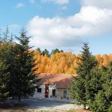 Dei Larici Bed & Breakfast *