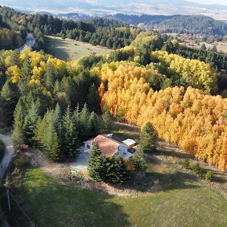 B&B Dei Larici 카미글리아텔로 실라노